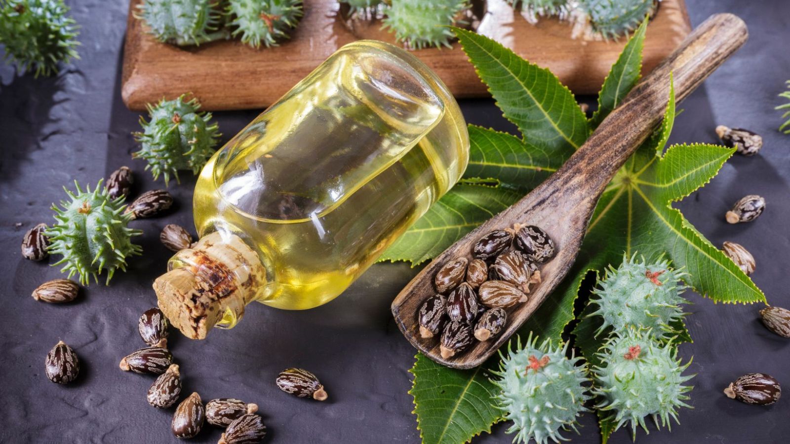 12 bienfaits surprenants de l'huile de ricin : le #8 va vous étonner